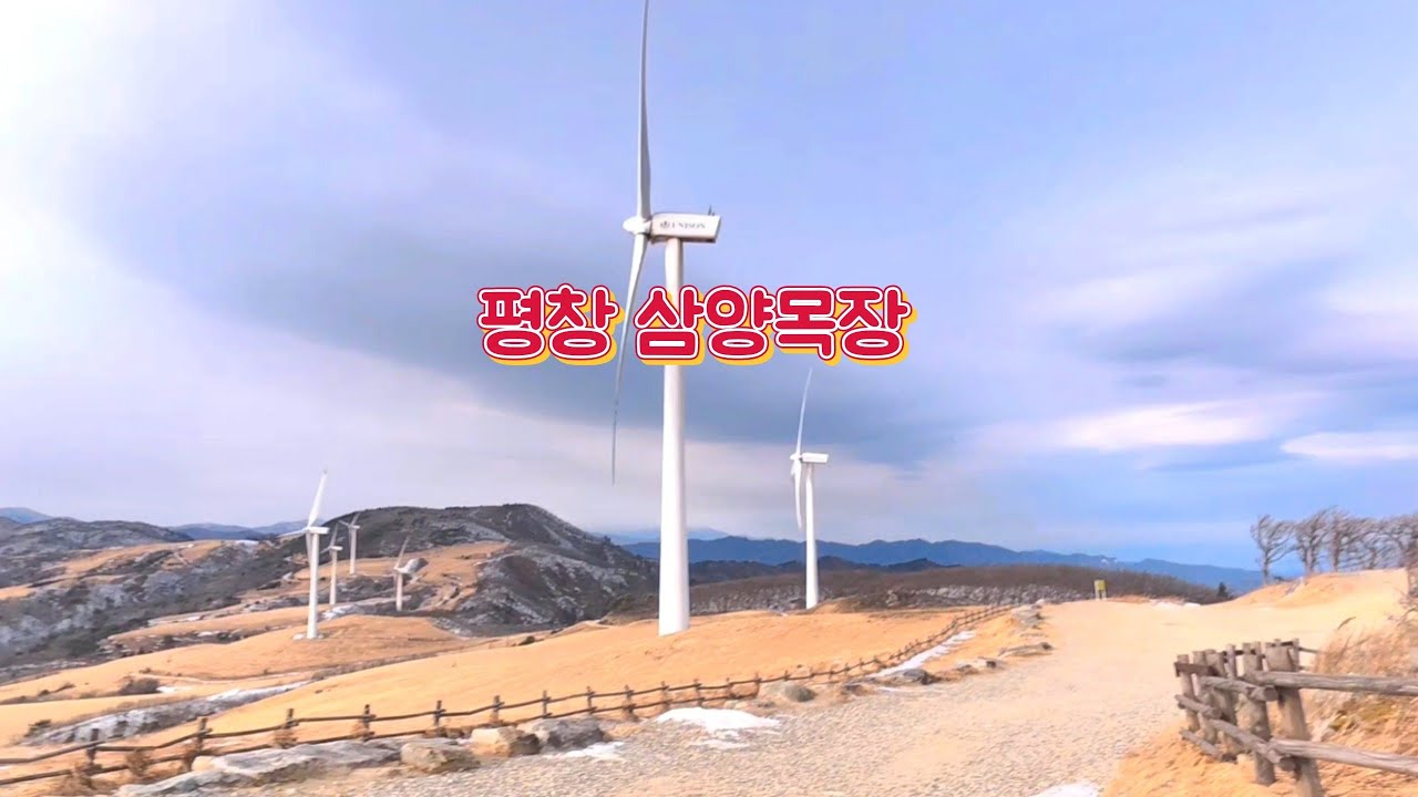 평창 삼양목장