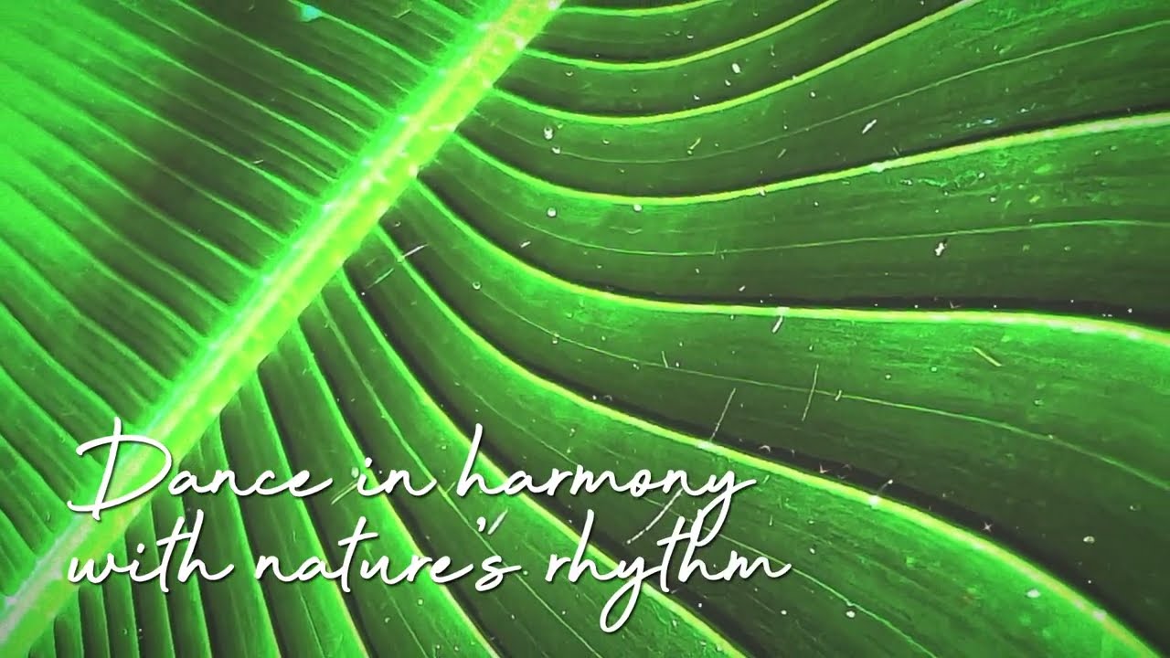 Resilience #ShiftCreateTransform #NatureInspired+Attuned #TheDreamersJourney #CovelliteCollective