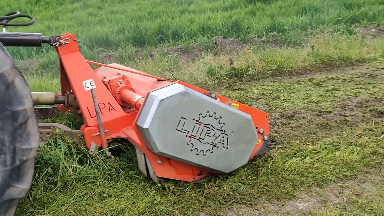 Trinciatura 2019