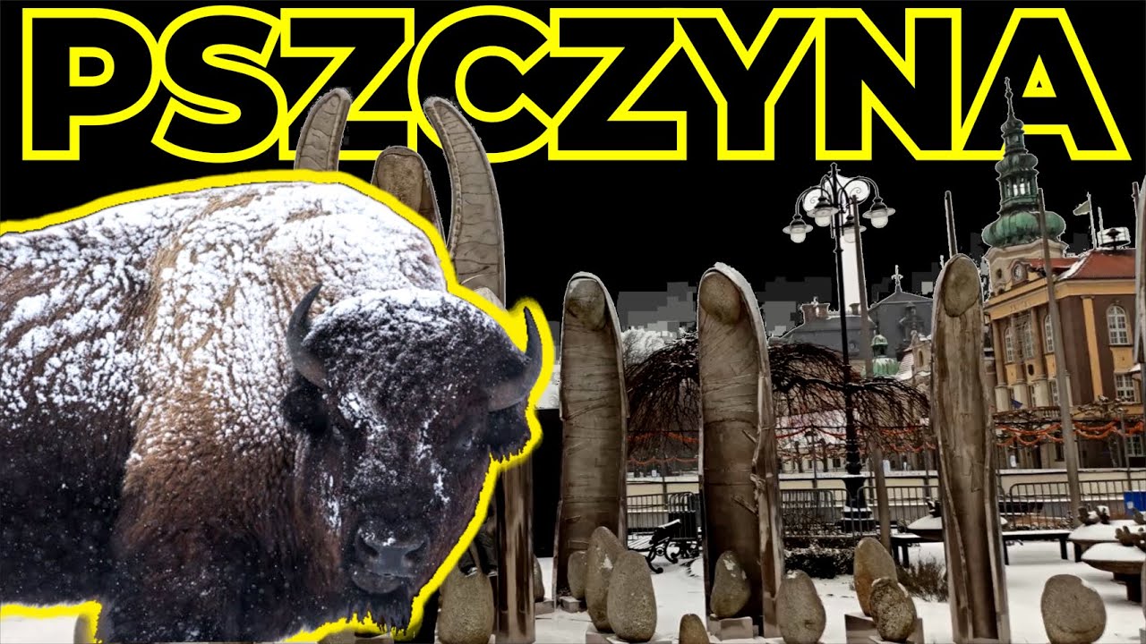 Pokazowa zagroda żubrów w Pszczynie | Rynek i pałac w Pszczynie