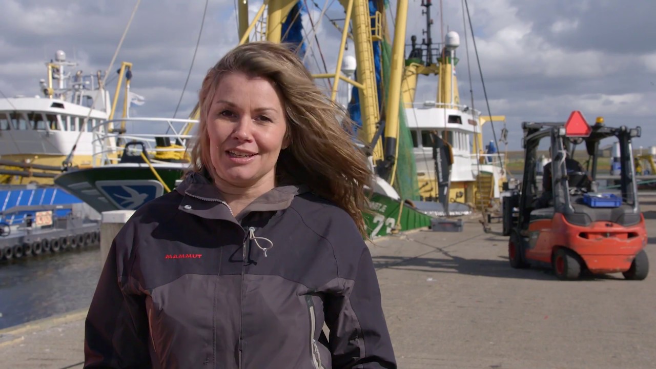 Vis in de klas - Aan boord van de vissersboot