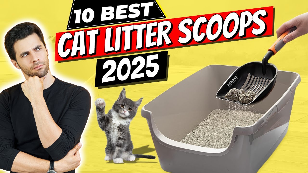 The 10 Best Cat Litter Scoops of 2025 | Must-Have Scoopers for a Cleaner Litter Box!