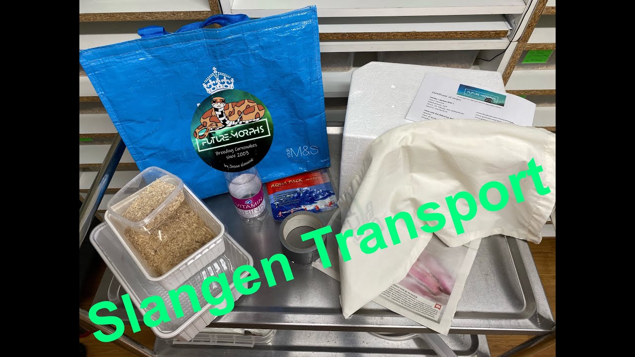 Transport van slangen | Future-Morphs