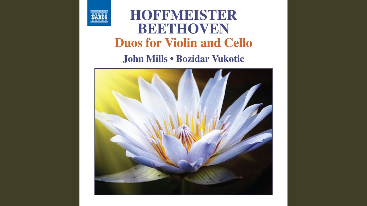 Duet for Violin & Cello in F Major, Op. 6 No. 2: II. Allegro molto