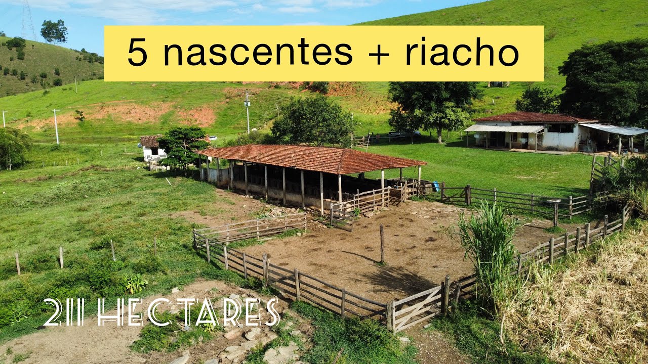 211 hectares, 5 nascentes + riacho em Pindamonhangaba-SP (Interior de São Paulo)