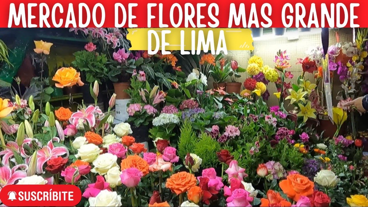 💥TOUR EN EL MERCADO DE FLORES MAS GRANDE DE LIMA-PERU🇵🇪💥