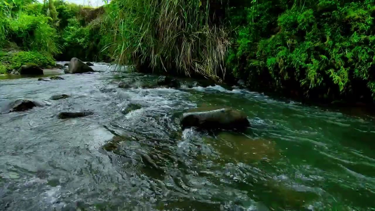 Soft River Water Sounds for Deep Sleep & Anxiety Relief