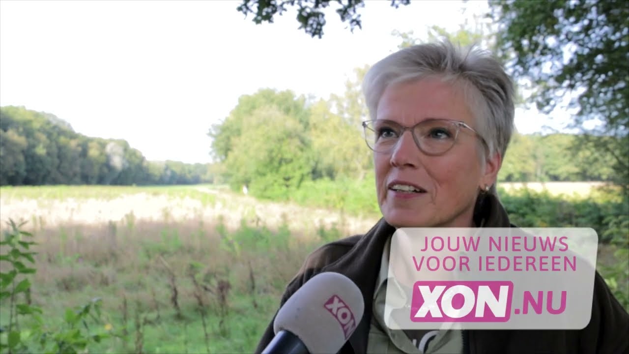 Bronstige herten te zien bij tochten natuur centrum Veluwe (XON Nieuws)
