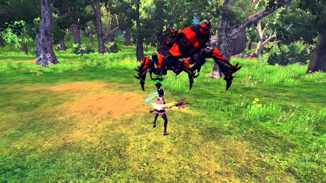 RaiderZ SOLO Elsodia