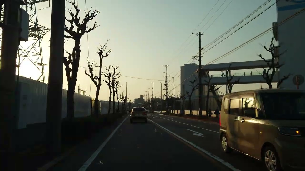 2026年1月15日