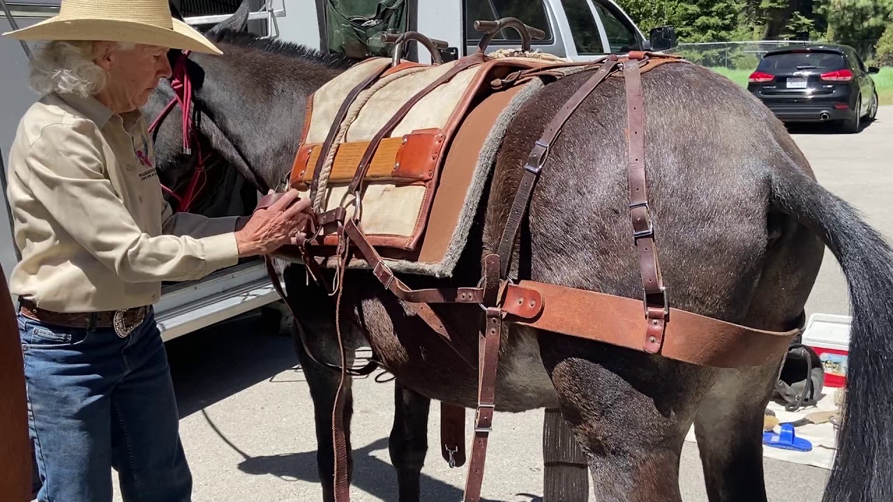 Camping with Horses/Mules