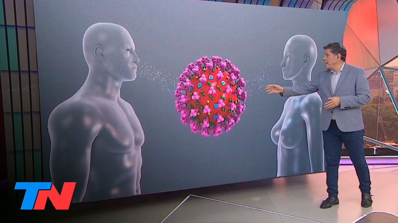 CORONAVIRUS: Cómo es el COVID-19 por dentro, cómo opera en el cuerpo humano y cómo se transmite