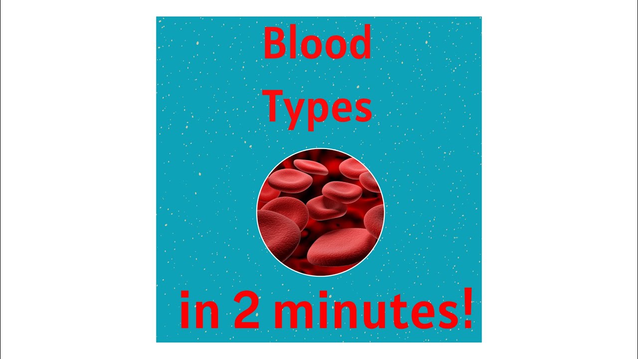 Blood Types in under 2 mins!