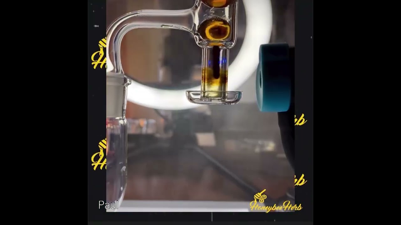 Honeysuckle Bevel Quartz Banger Meltshots - Honeybee Herb #shorts  #quartzbanger
