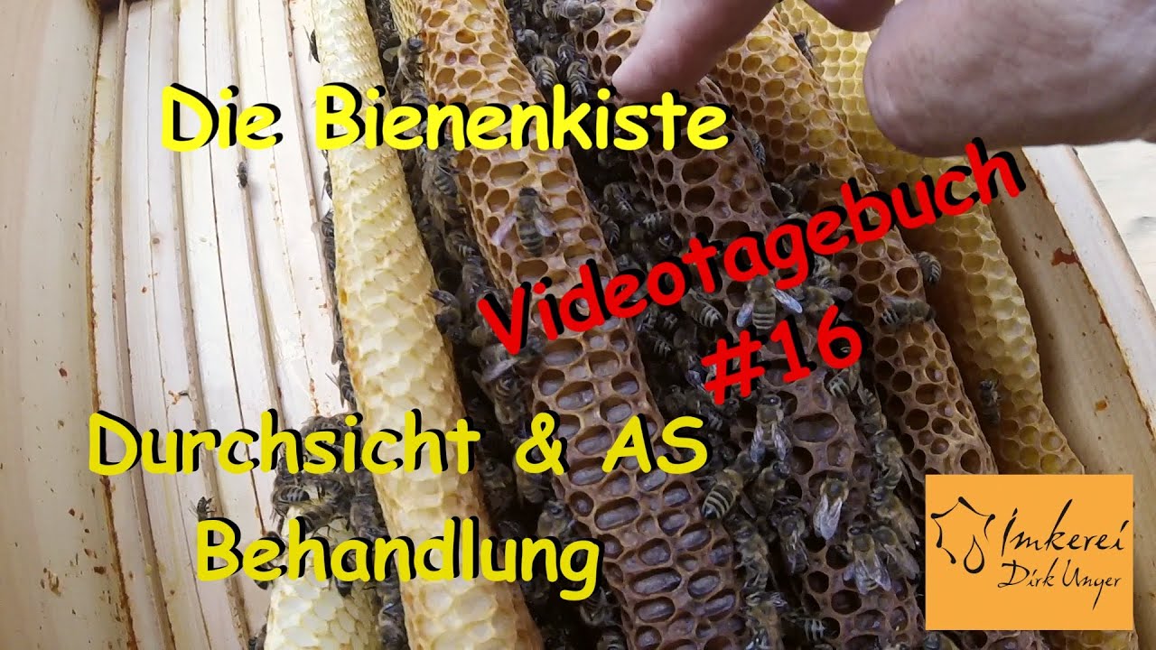 Die Bienenkiste - Videotagebuch #16 - Kontrolle & AS-Behandlung (24.7.2025)