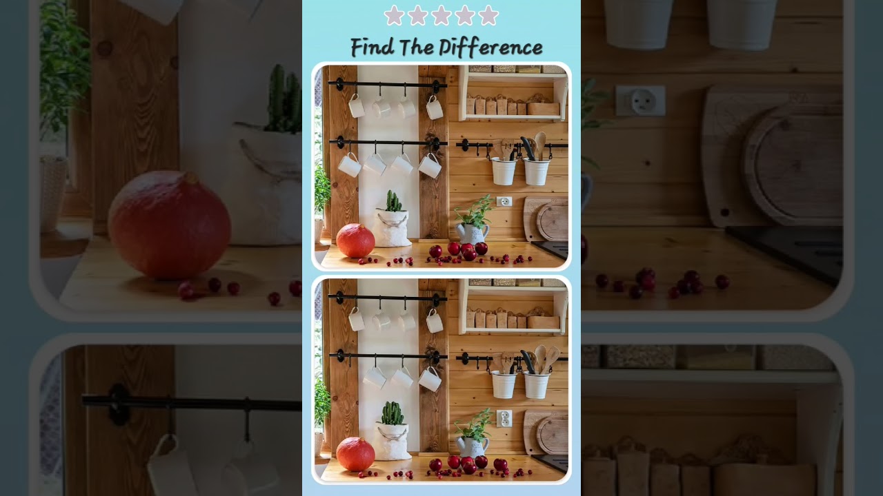 FIND THE DIFFERENCES 
