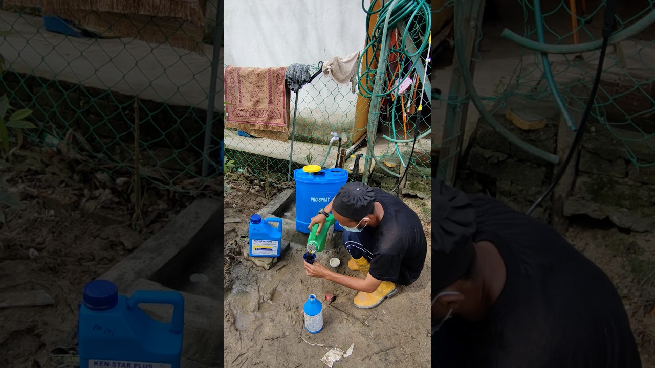 cara bancuhan racun rumpai