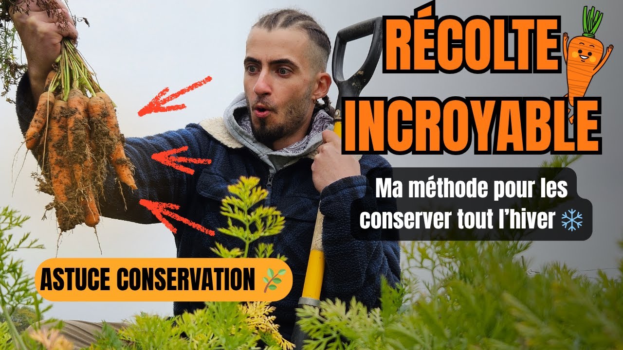 Comment CONSERVER ses CAROTTES tout L’HIVER ?!! 🍂 ASTUCES SIMPLES !! 👍