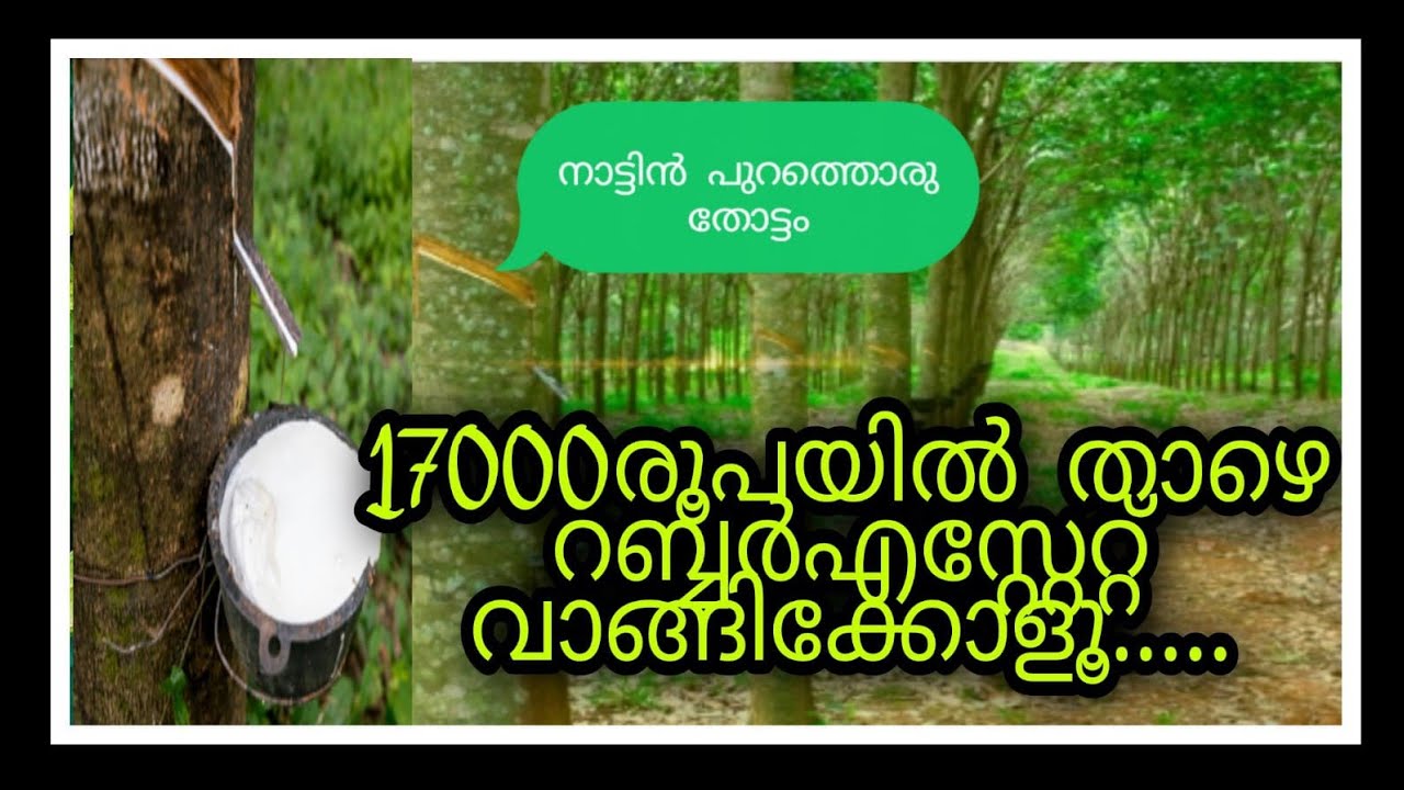 സെന്റിന് 17000 രൂപയിൽ താഴെ  മാത്രം 2 ഏക്കർ 85 സെന്റ് റബ്ബർ തോട്ടം  വില്പനക്ക്