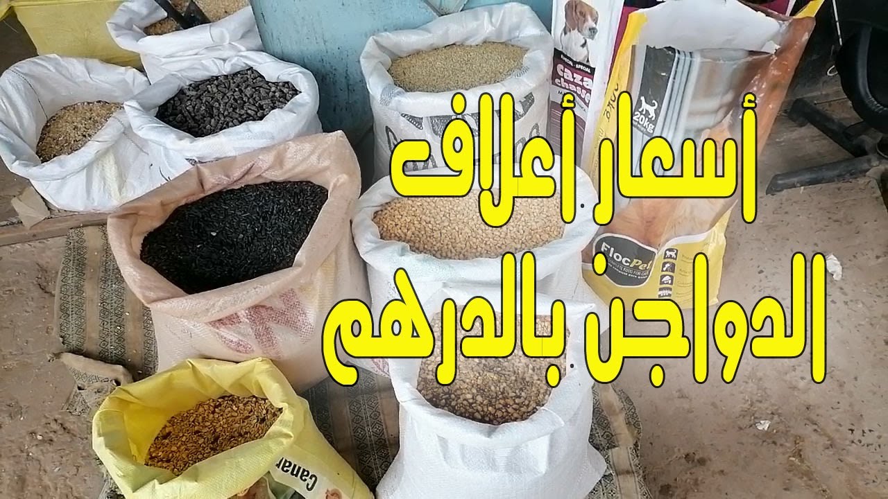 أسعار علف الدجاج بالدرهم في مدينة القنيطرة