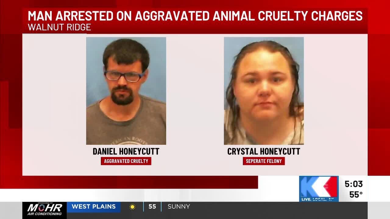 Walnut Ridge man arrested on aggravated animal cruelty charges after four dogs die