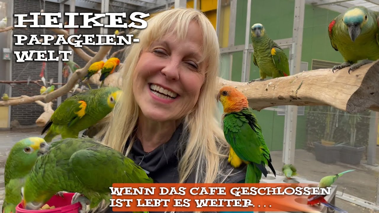 Leben im Papageien Café wenn es geschlossen ist