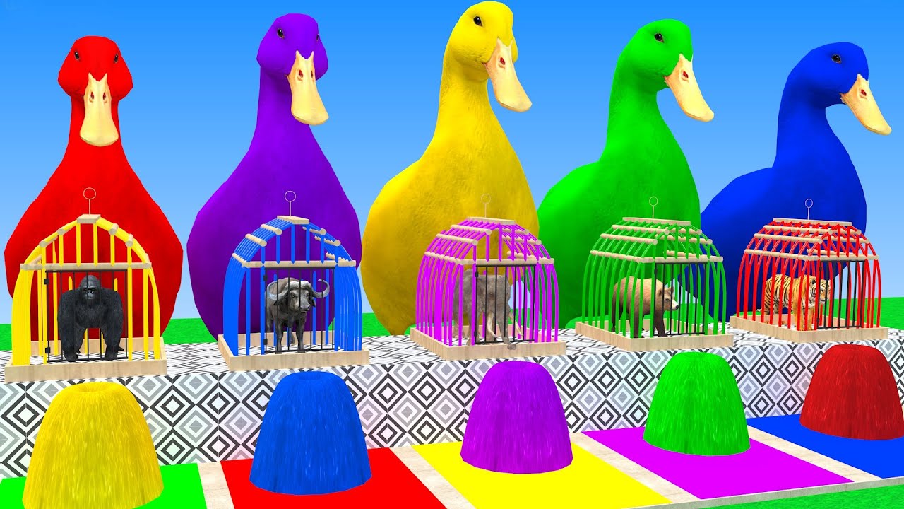 Long Slide Game With Elephant Gorilla Buffalo Hippopotamus Tiger 3d Animal Game Funny 3d Animals
