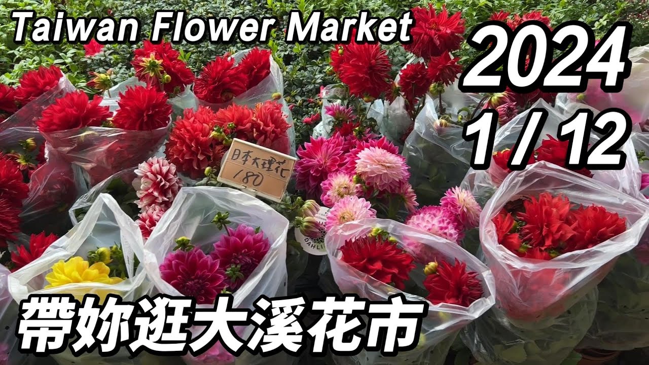 帶妳逛大溪花市~週末搶先看!丨2024/1/12丨Taiwan Flower Market 丨片尾彩蛋抽獎丨