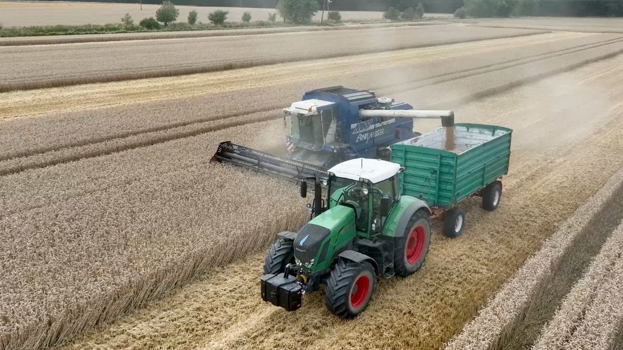 ŻNIWA 2023 - PSZENICA (BARDOWSCY) - NIEŚMIAŁO ZACZĘLIŚMY !