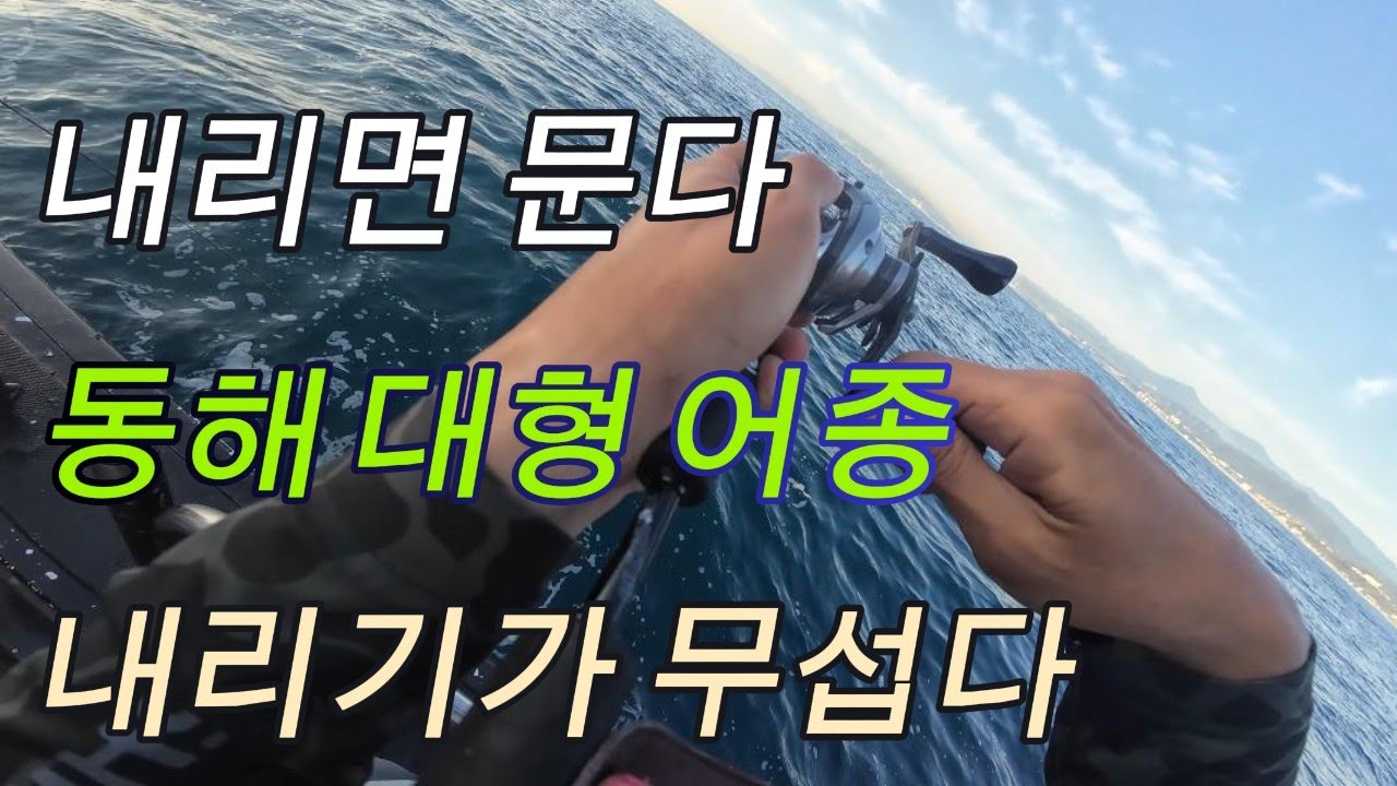 대구는 빠른 폴링을 좋아한다