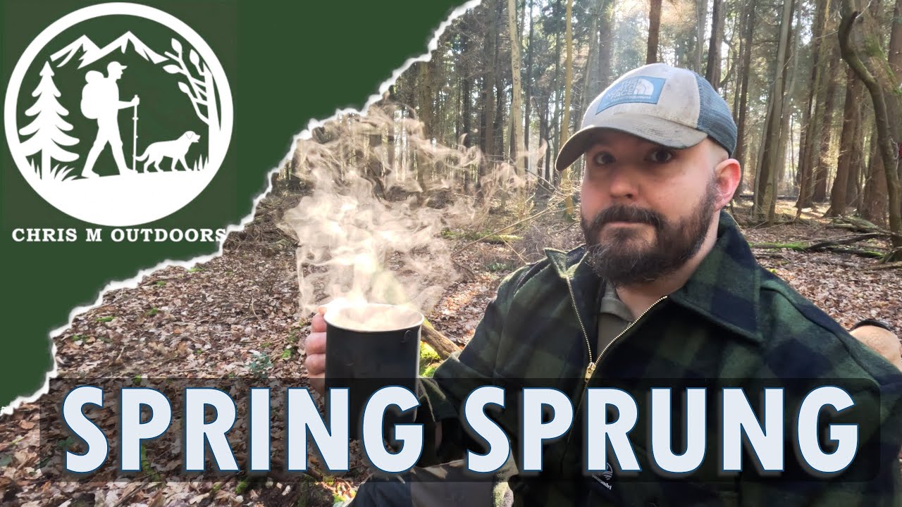 Trying my new FIREBOX G2 in SEMI-ANCIENT woodland with my dog | French RCIR ration (MRE)