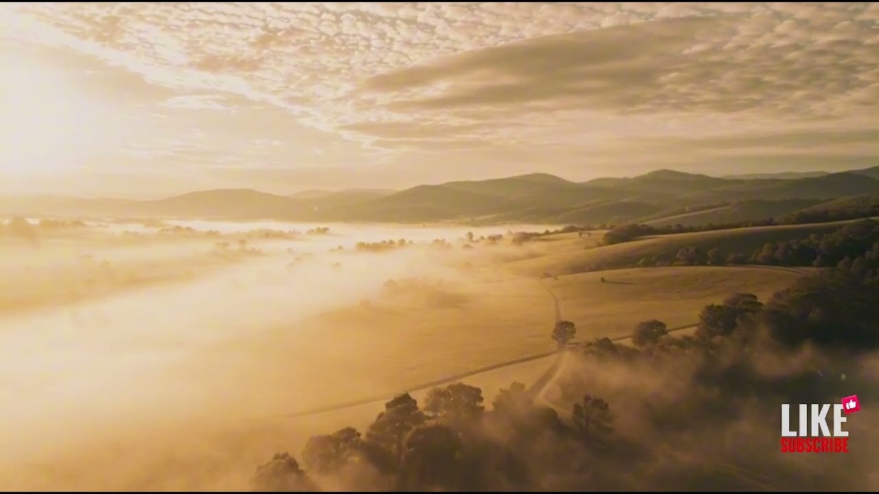 “Flow of Light — Calm Focus EDM for Creative Minds”