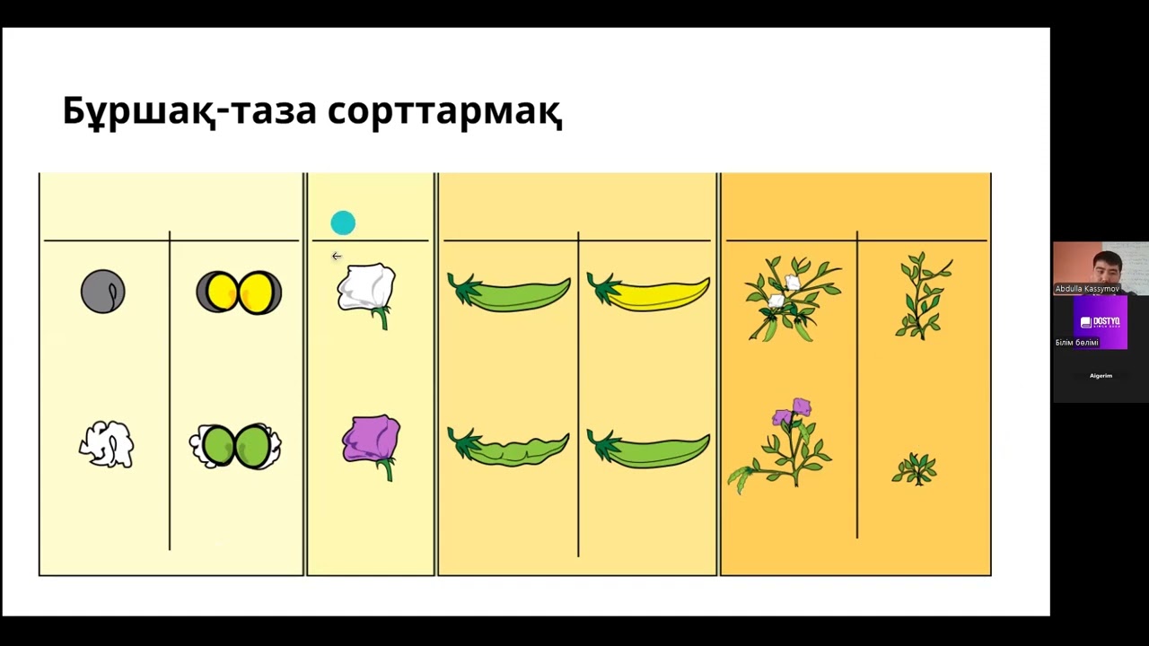 Мендель заңдары  Аллельді емес гендер