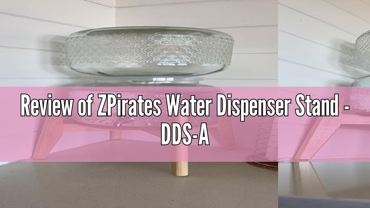 Review of ZPirates Water Dispenser Stand - DDS-A