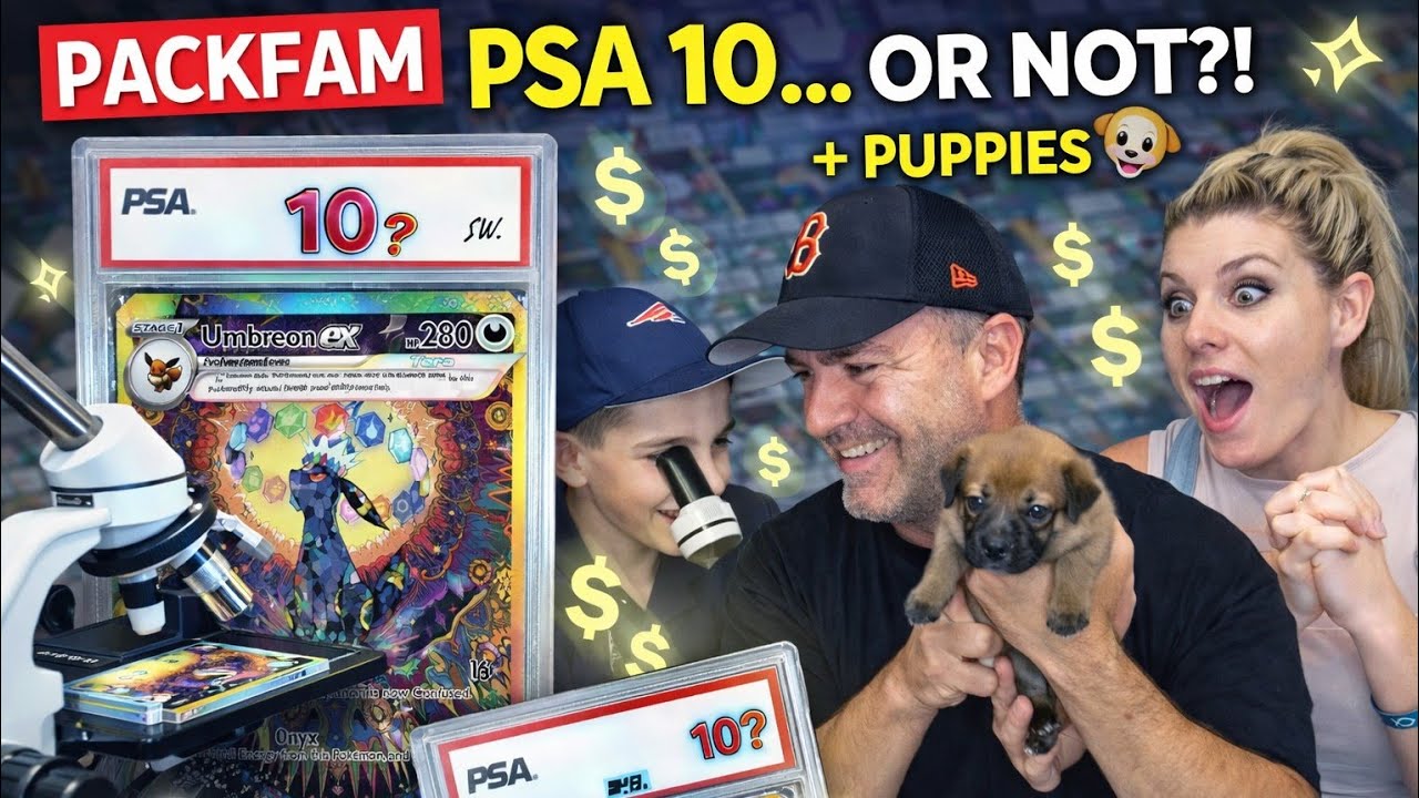 Это карточки с рейтингом PSA 10?! 🔬 Осмотр карточек Pokémon + 9 новых щенков!