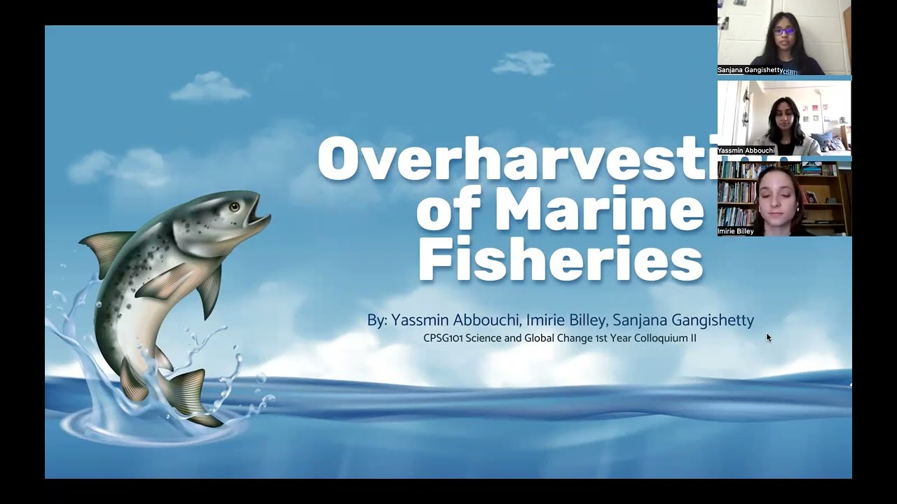 13 Overharvesting of Marine Fisheries