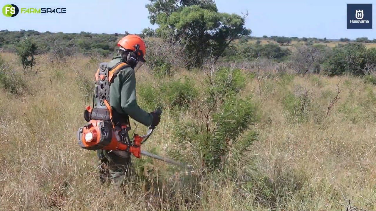 Veld Management and Encroachment - How are Husqvarna staying ahead?