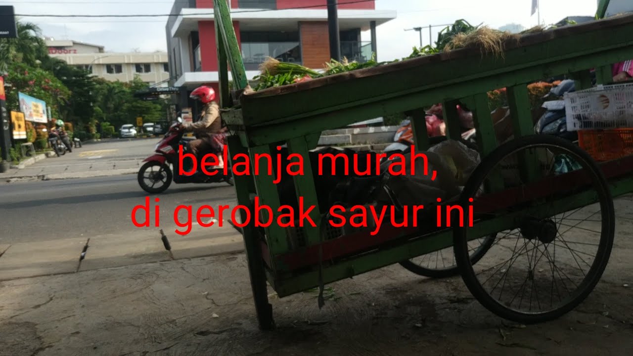 jalan-jalan gratis naik Jak Lingko