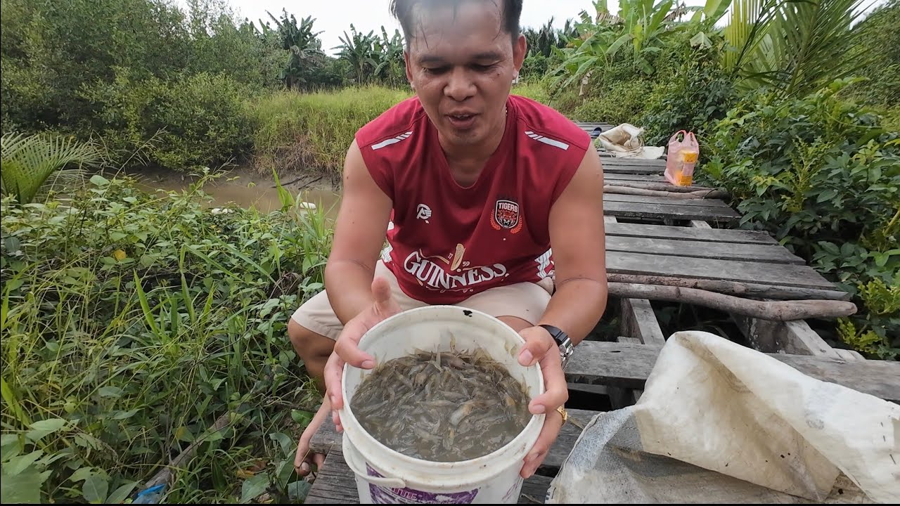Pasang Pukat Kecil Di Anak Sungai Sampun//Sekali Angkat Penuh Tong Cat 5Kg//Seronok Memat