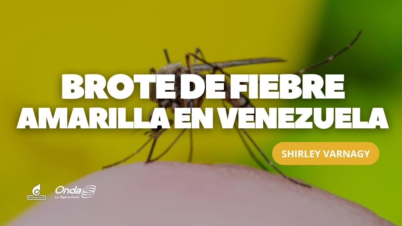 La fiebre amarilla no necesita revacunación, según experto