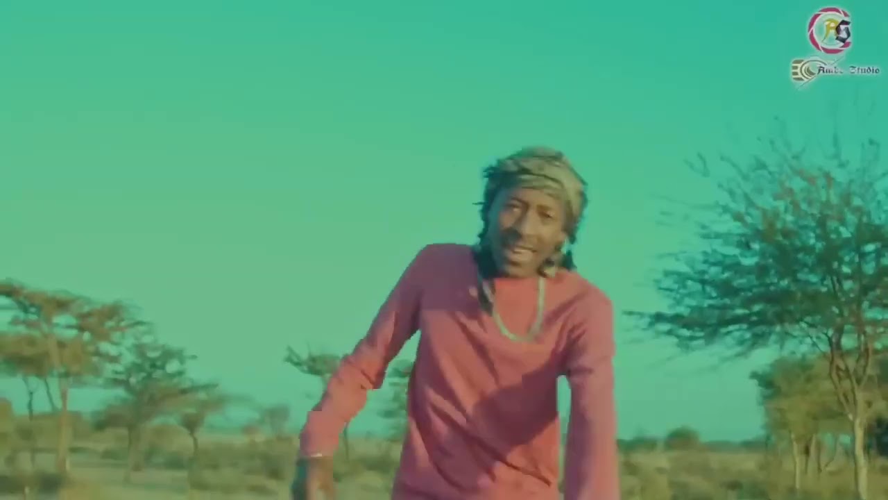 Jaal Janjjeessaa Diinaa