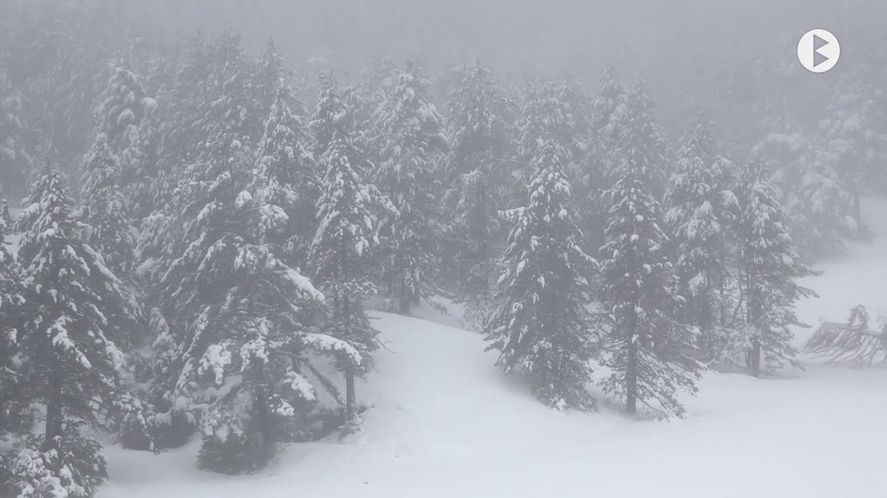 Primera nevada de la temporada al Berguedà