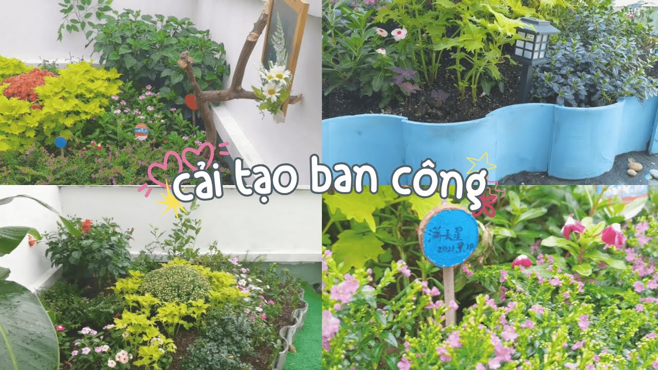 『Full』Cải tạo ban công với 500 tệ #douyin #caitao