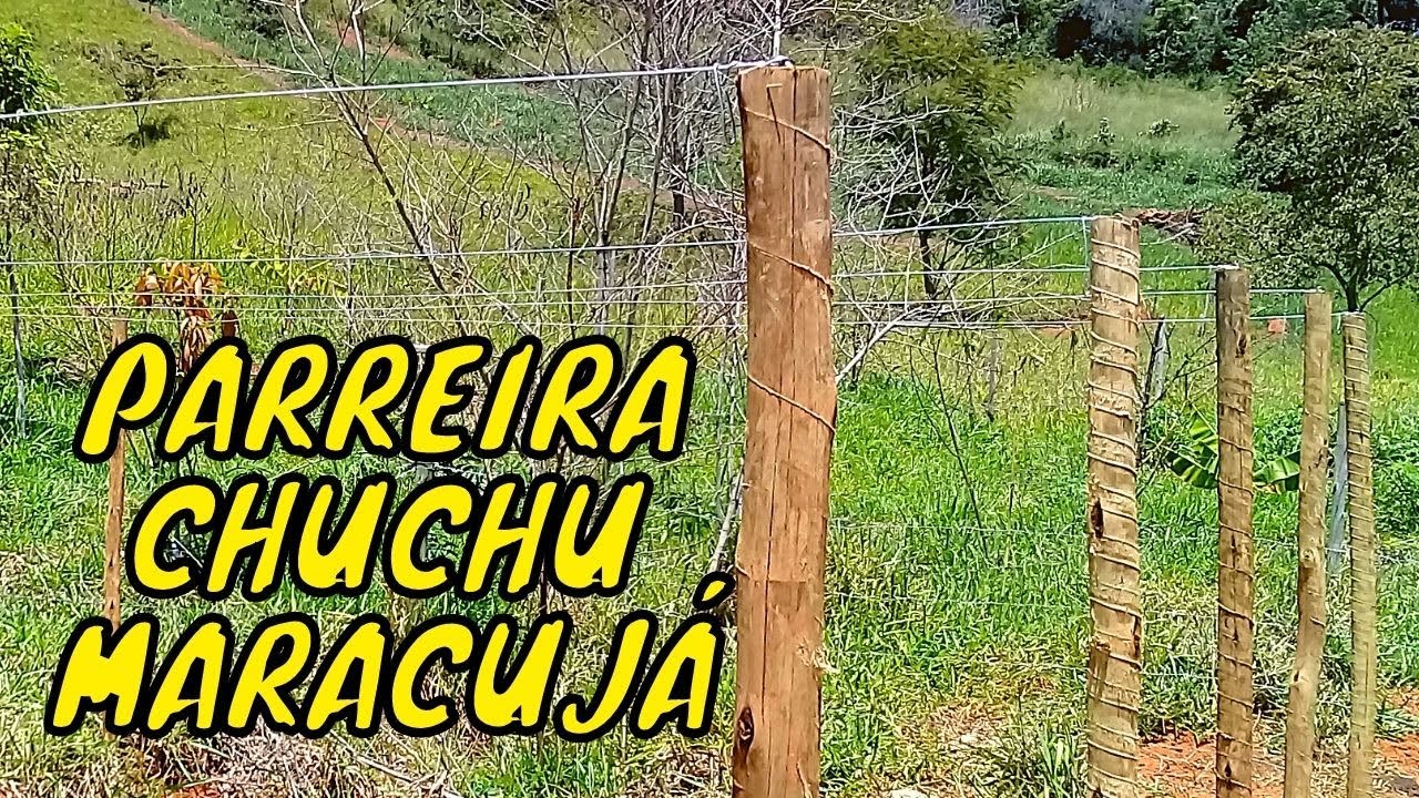 Montando Parreira de Chuchu e Maracujá - Vida na Roça