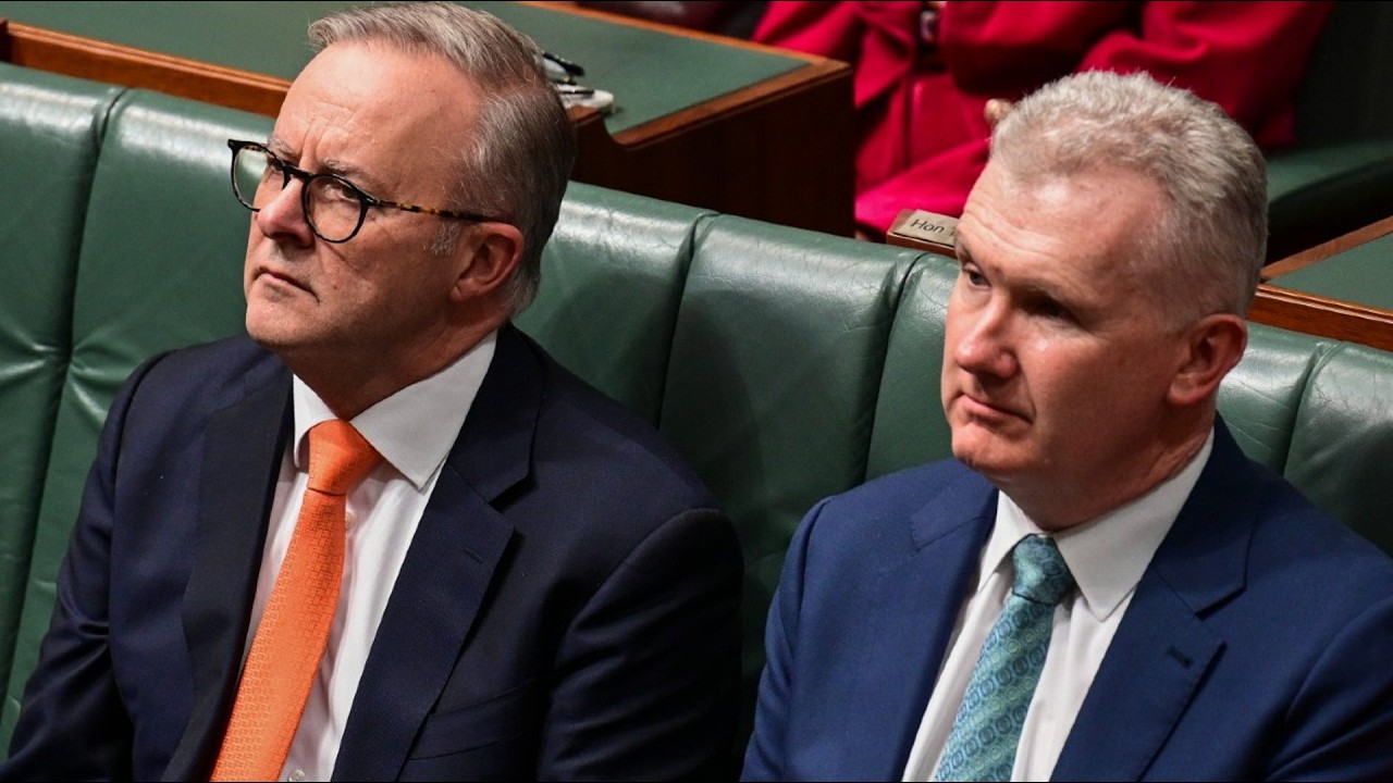 Labor&rsquo;s long-awaited immigration plan under heavy scrutiny