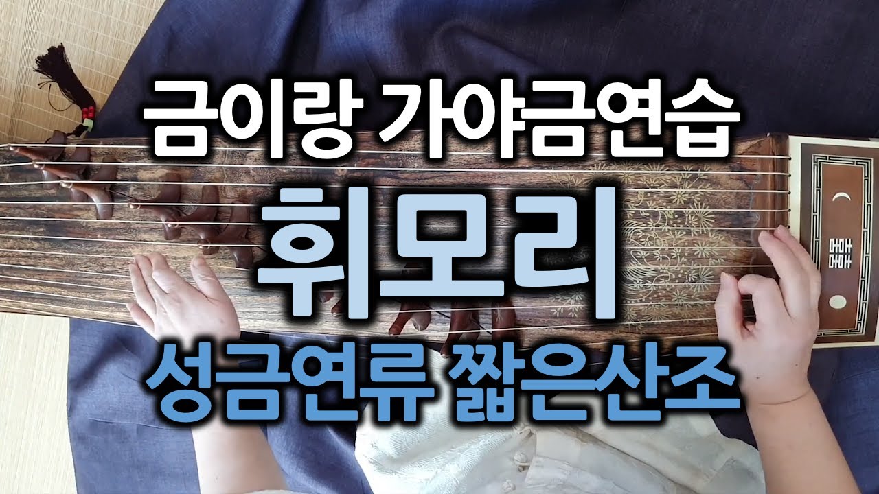 성금연류 짧은산조 - 휘모리 - 금이랑 가야금 연습