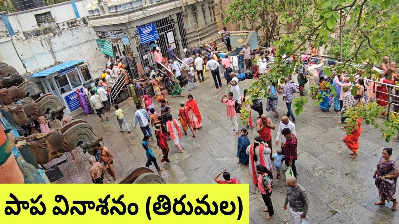 Tirumala Papavinasanam Video | TTD | Papavinasanam | Tirumala | Devotional | Andhra Pradesh | India