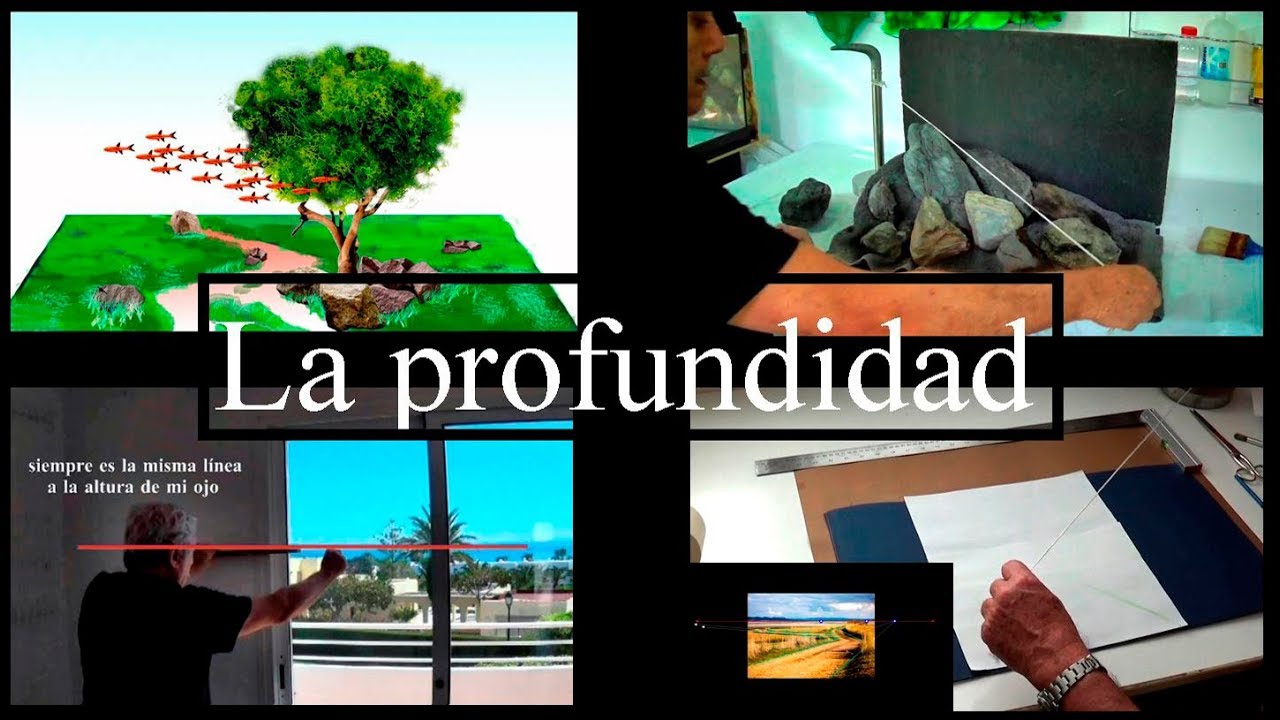 Aquascaping para novatos 3. La profundidad