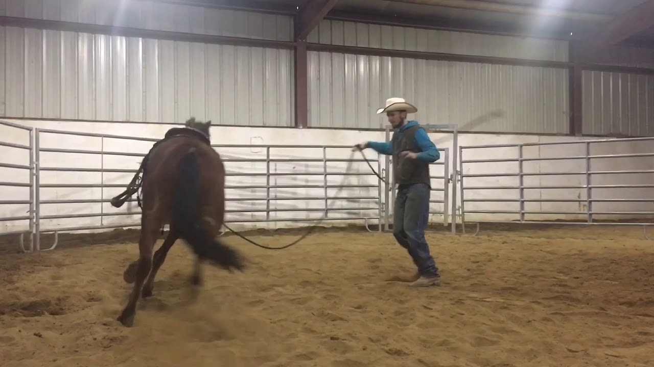 Day 2 and 3 Training a Wild Horse || Extreme Mustang Makeover 2018 || Competitor Aiden Kramer