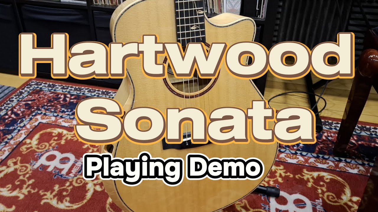 Hartwood Sonata Acoustic Guitar - Full Review
